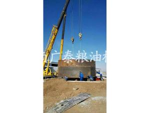 埃及棉籽油浸出設備安裝現場(chǎng) 